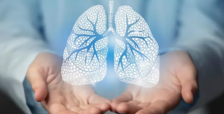 Geöffnete Hände halten eine digitale Darstellung von Lungen mit Bronchien.