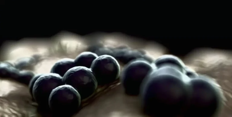 Darstellung von Streptokokken-Bakterien in Kugelform unter dem Mikroskop.