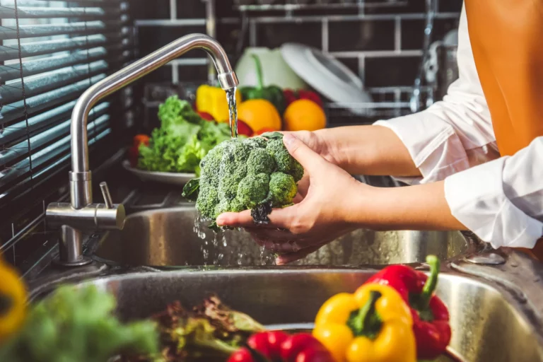 Lebensmittelhygiene - Kurs Erstunterweisung